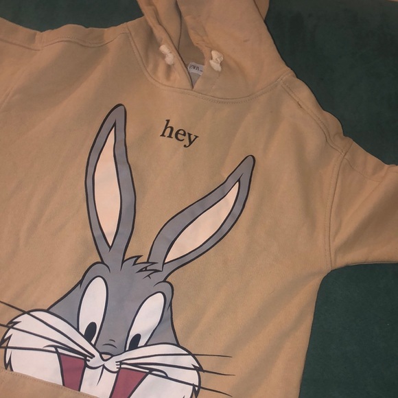 Zara Other - Tan Hoodie Dress Size:8